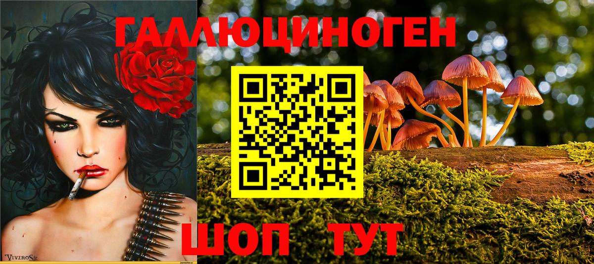 Галлюциногенные грибы мухоморы  Вход с VPN  Шахты 