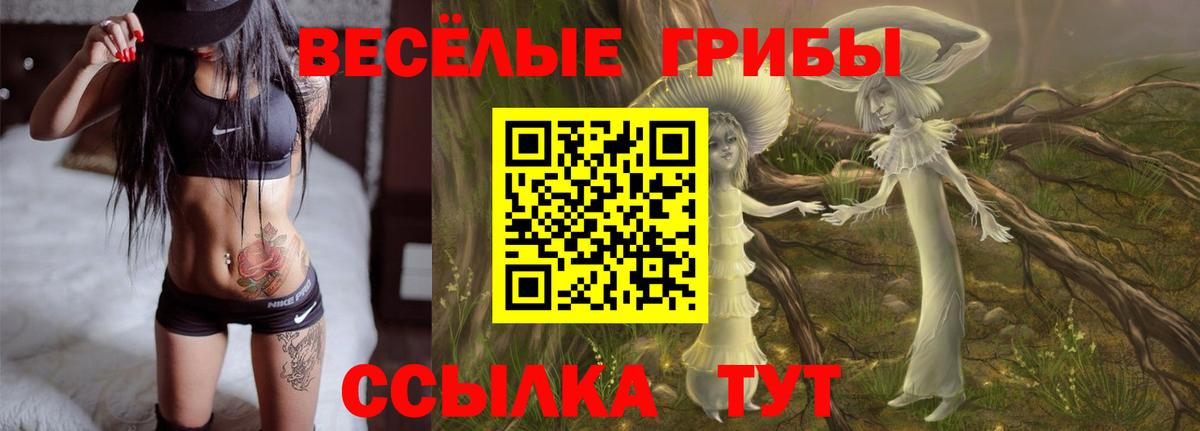 Галлюциногенные грибы Cubensis Шахты